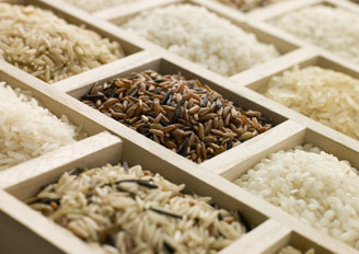 江苏镇江市场稻米价格基本保持平稳
