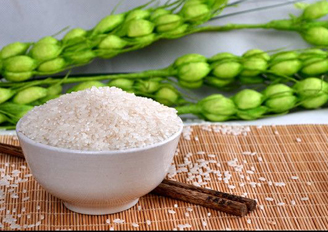 安徽巢湖市场稻谷价格上涨，大米持稳